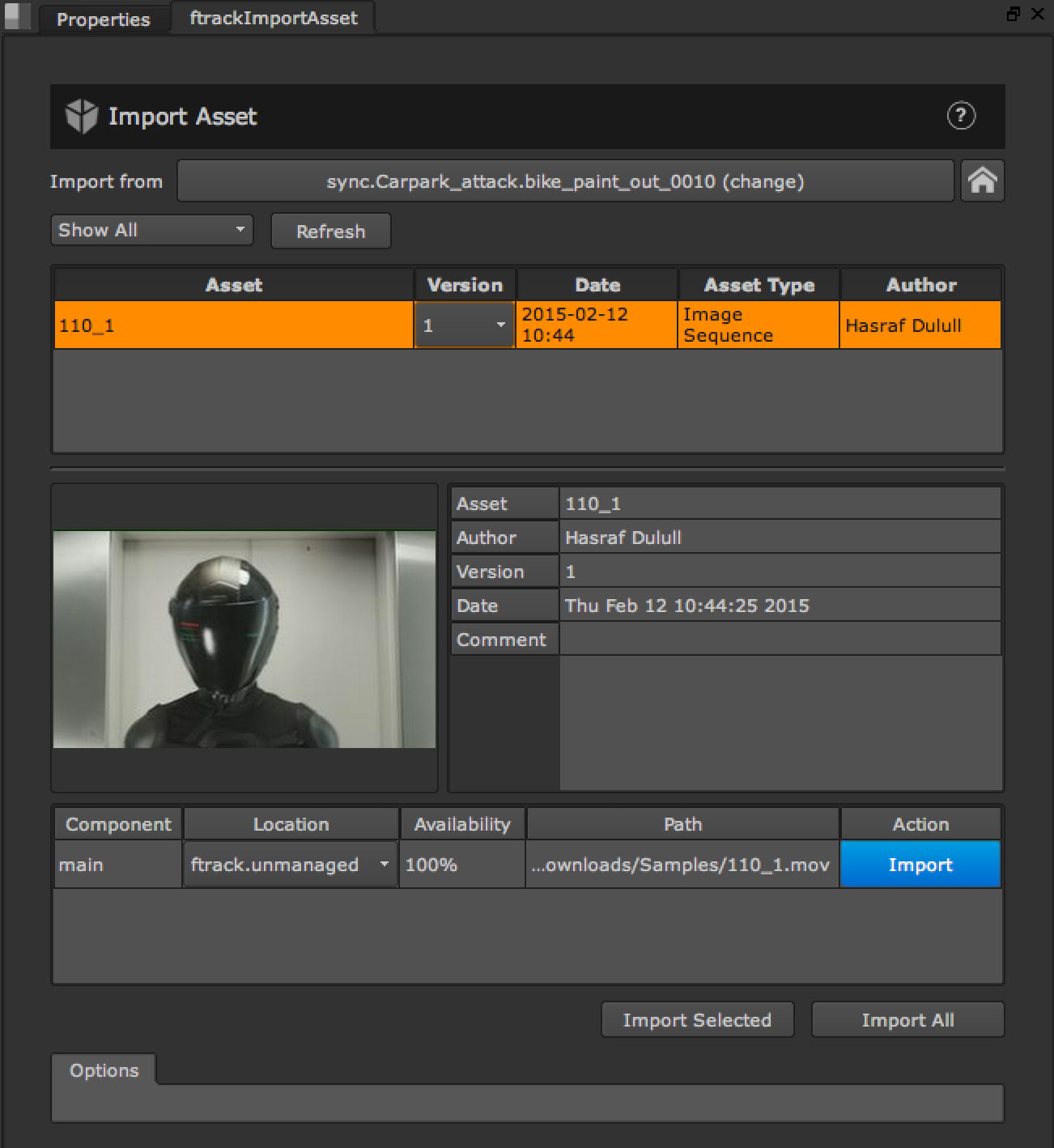 _images/import_asset_pane.jpg